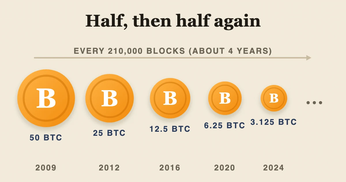 Illustration: Bitcoin coins shrinking each halving: 50, 25, 12.5, 6.25 and 3.125 BTC per block.