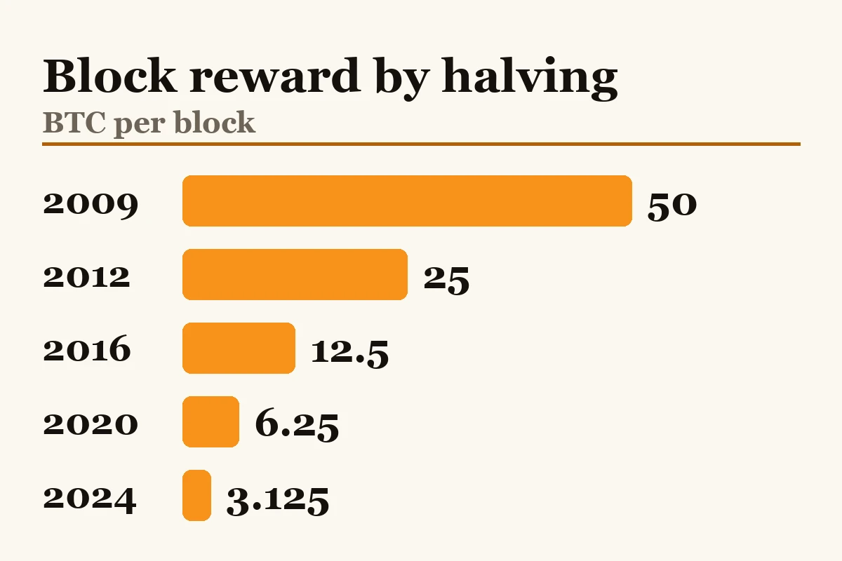 Bar chart of the Bitcoin block reward after each halving, from 50 BTC at the start in 2009 to 3.125 BTC after April 20, 2024
